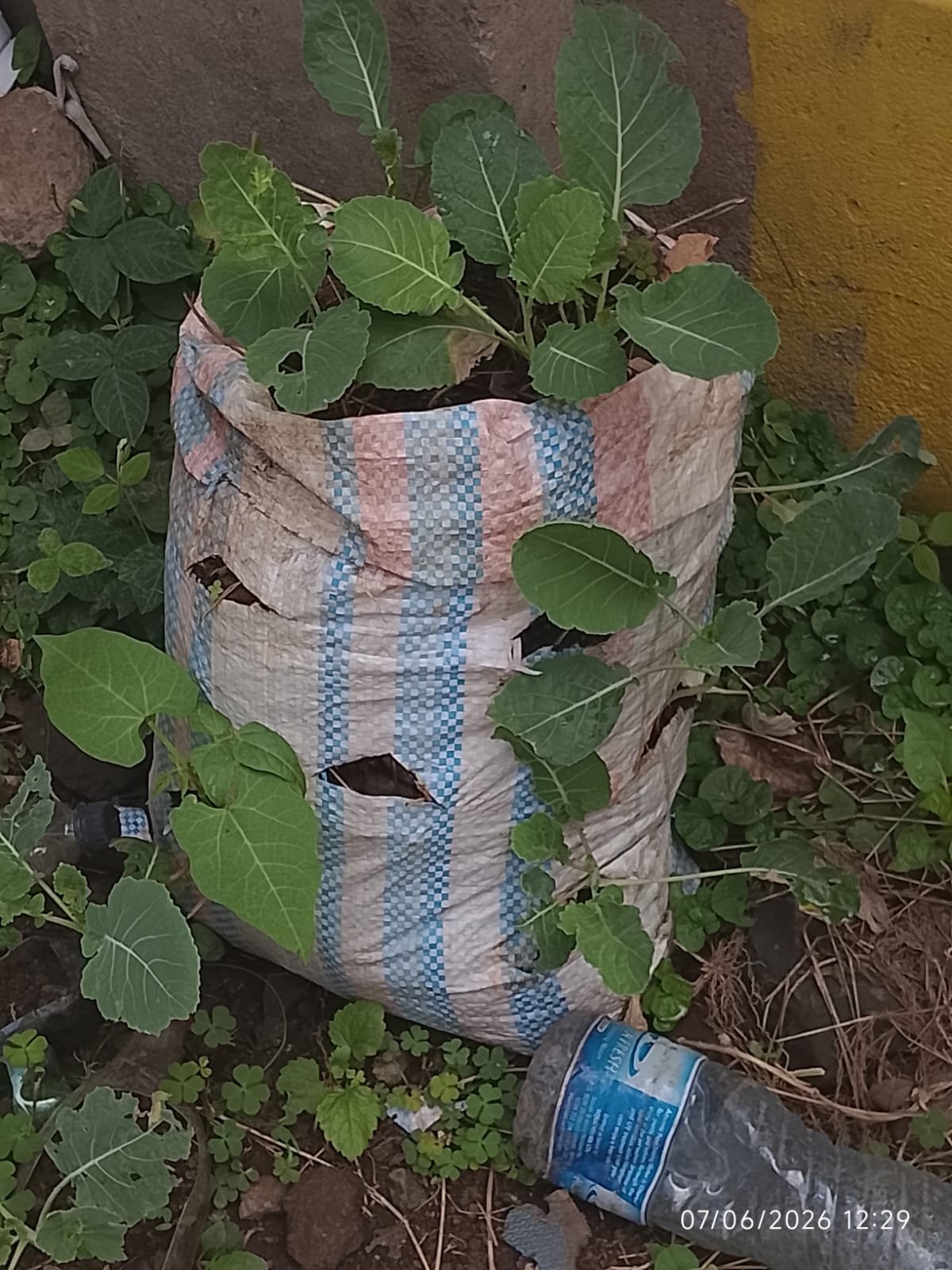 A collection sack at the school gate filling up with bottles