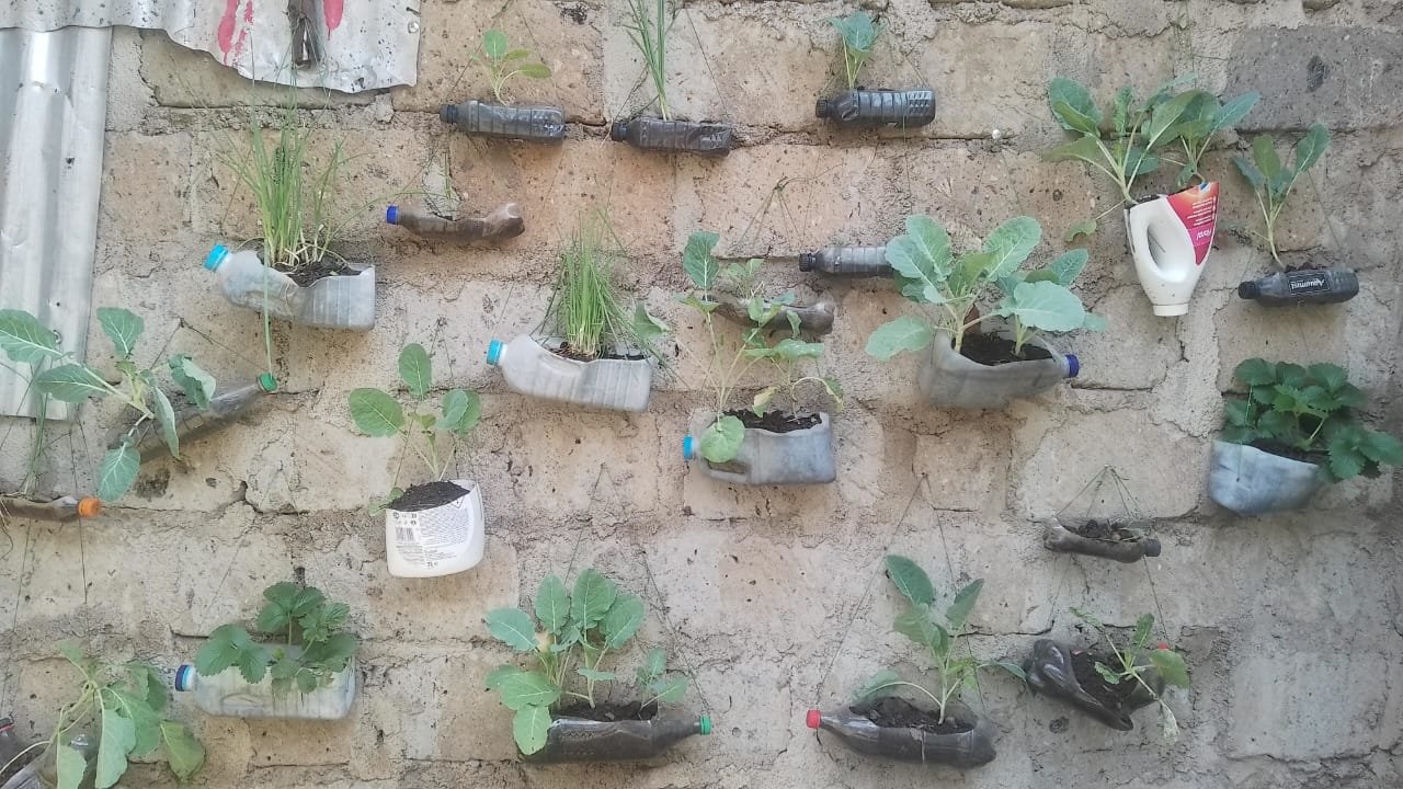 Children at an orphanage watering their own bottle garden